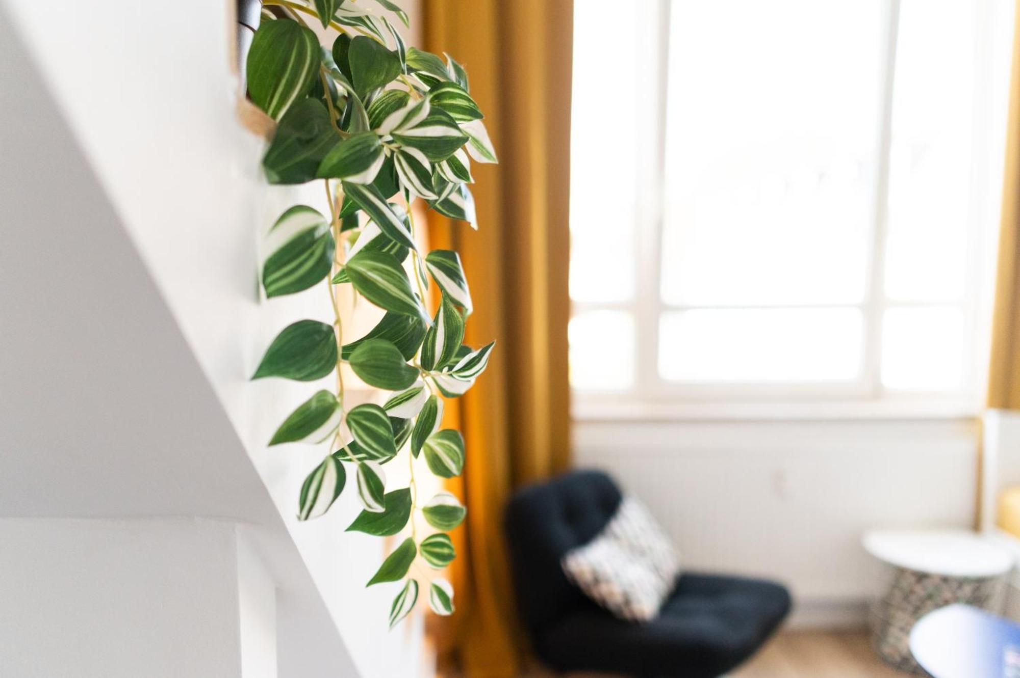 D52 - Das Businessapartment Dresden Dış mekan fotoğraf